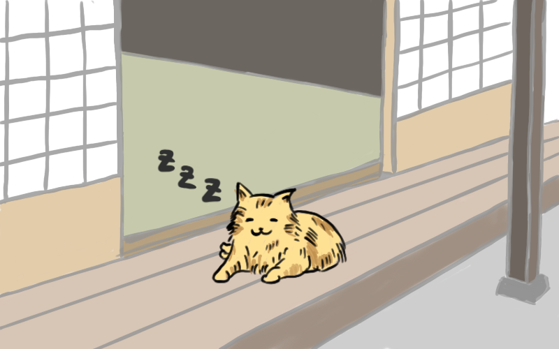 縁側の猫